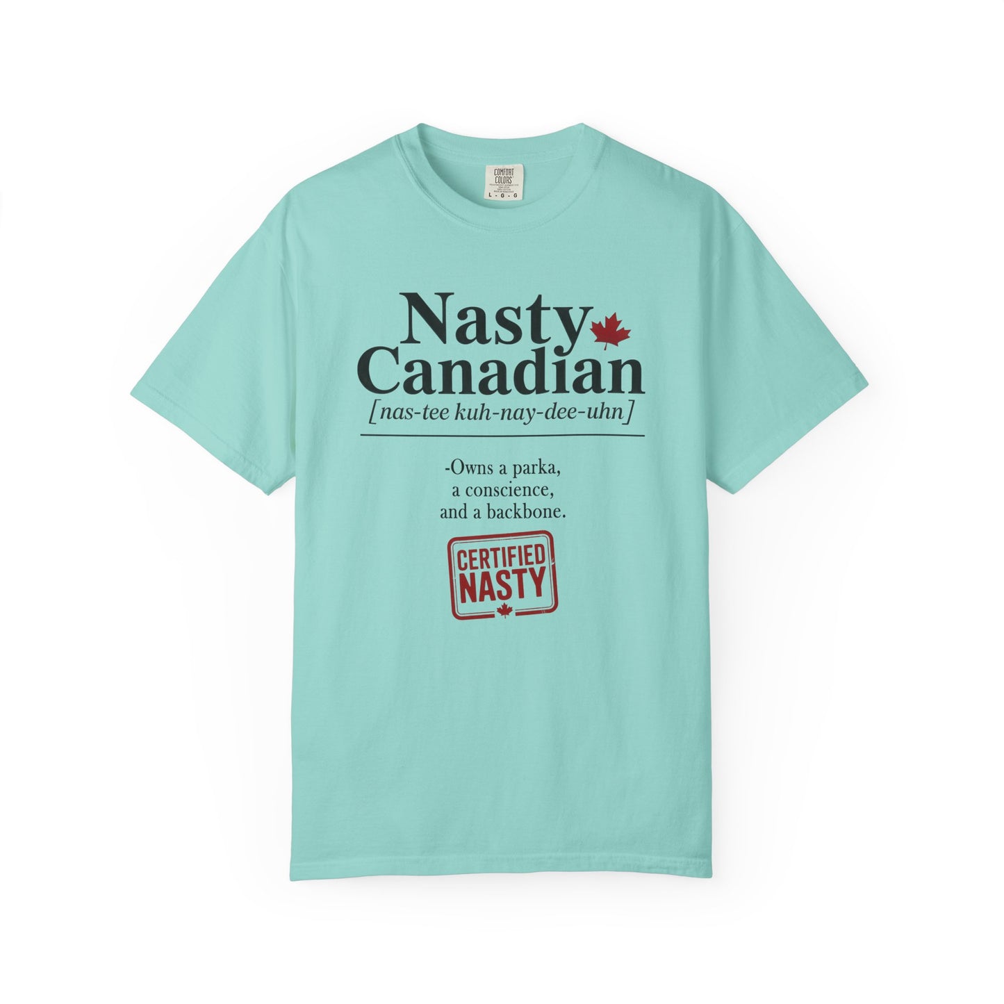 Certified Nasty Canadian Definition T-Shirt - Owns a Parka