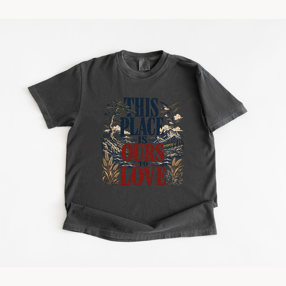 This Place Is Ours To Love T Shirt