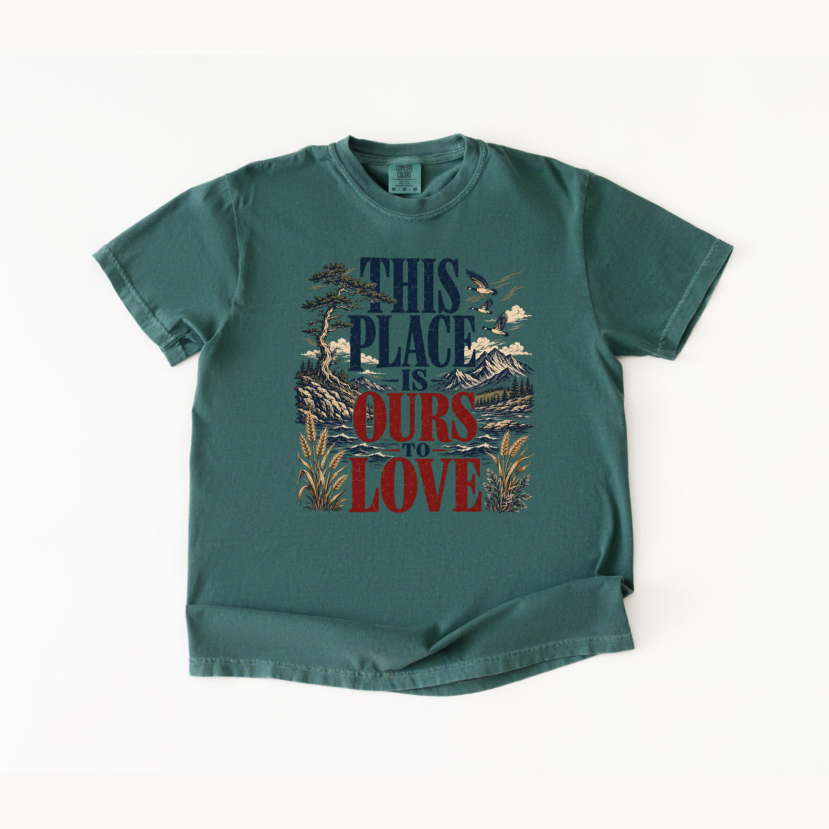 This Place Is Ours To Love T Shirt