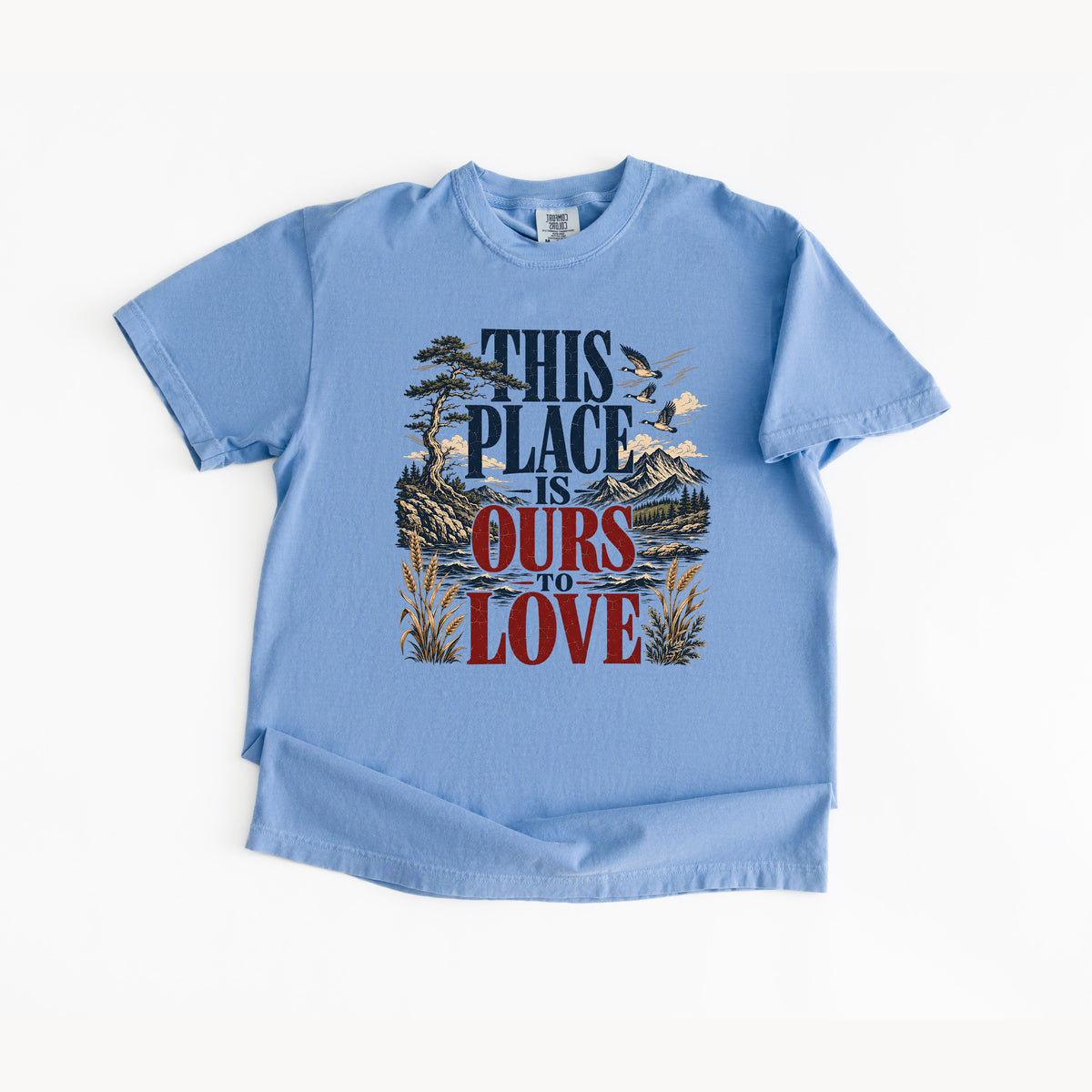 This Place Is Ours To Love T Shirt