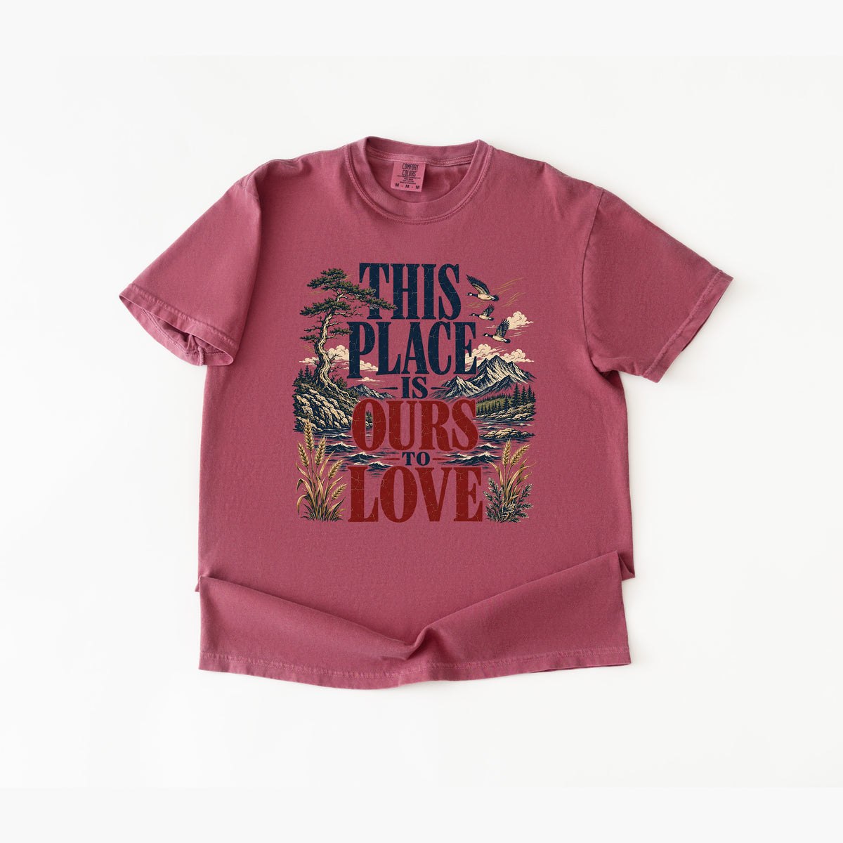 This Place Is Ours To Love T Shirt