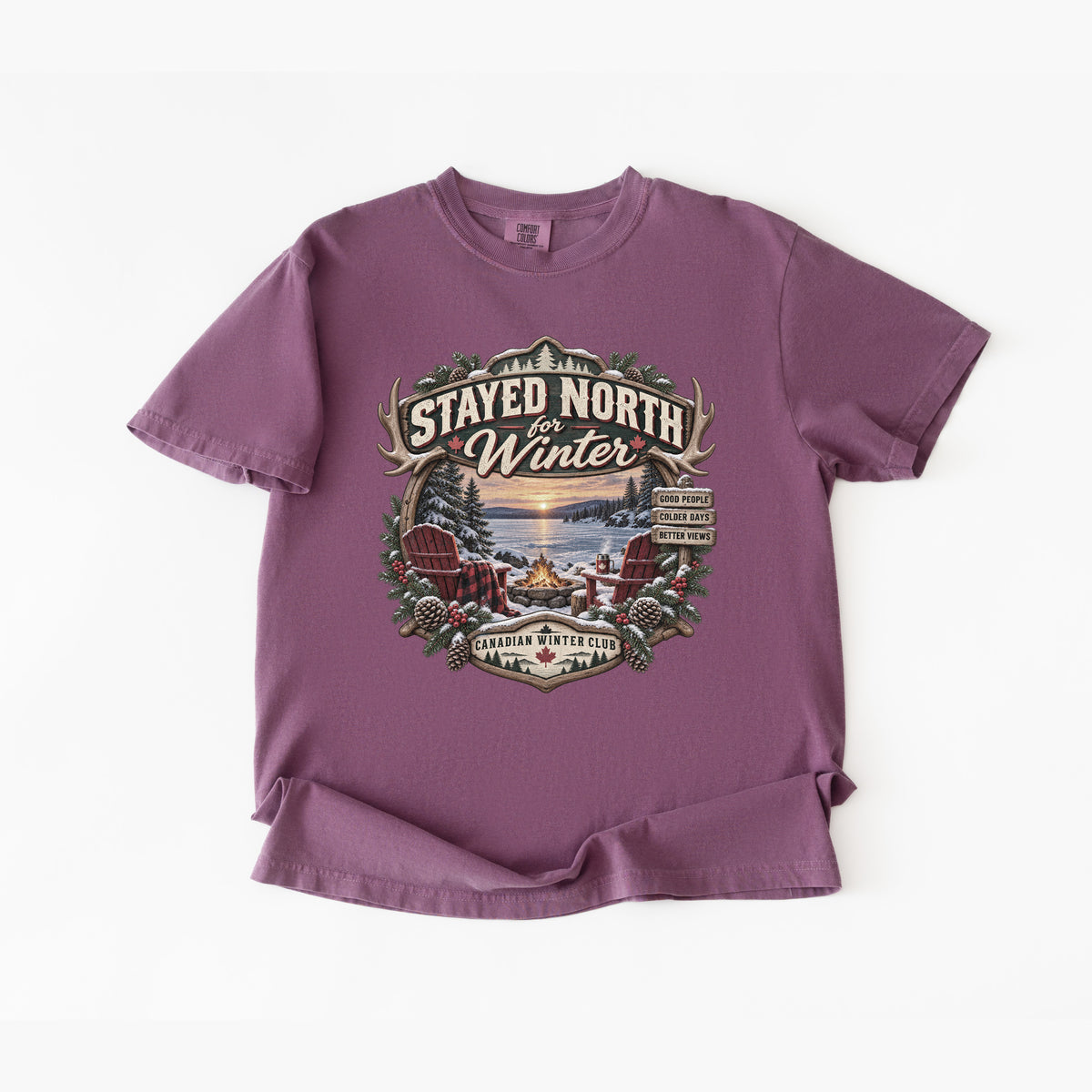 Stayed North for Winter T-Shirt