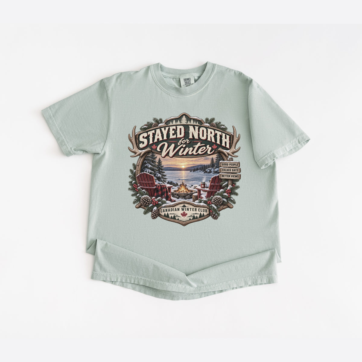 Stayed North for Winter T-Shirt