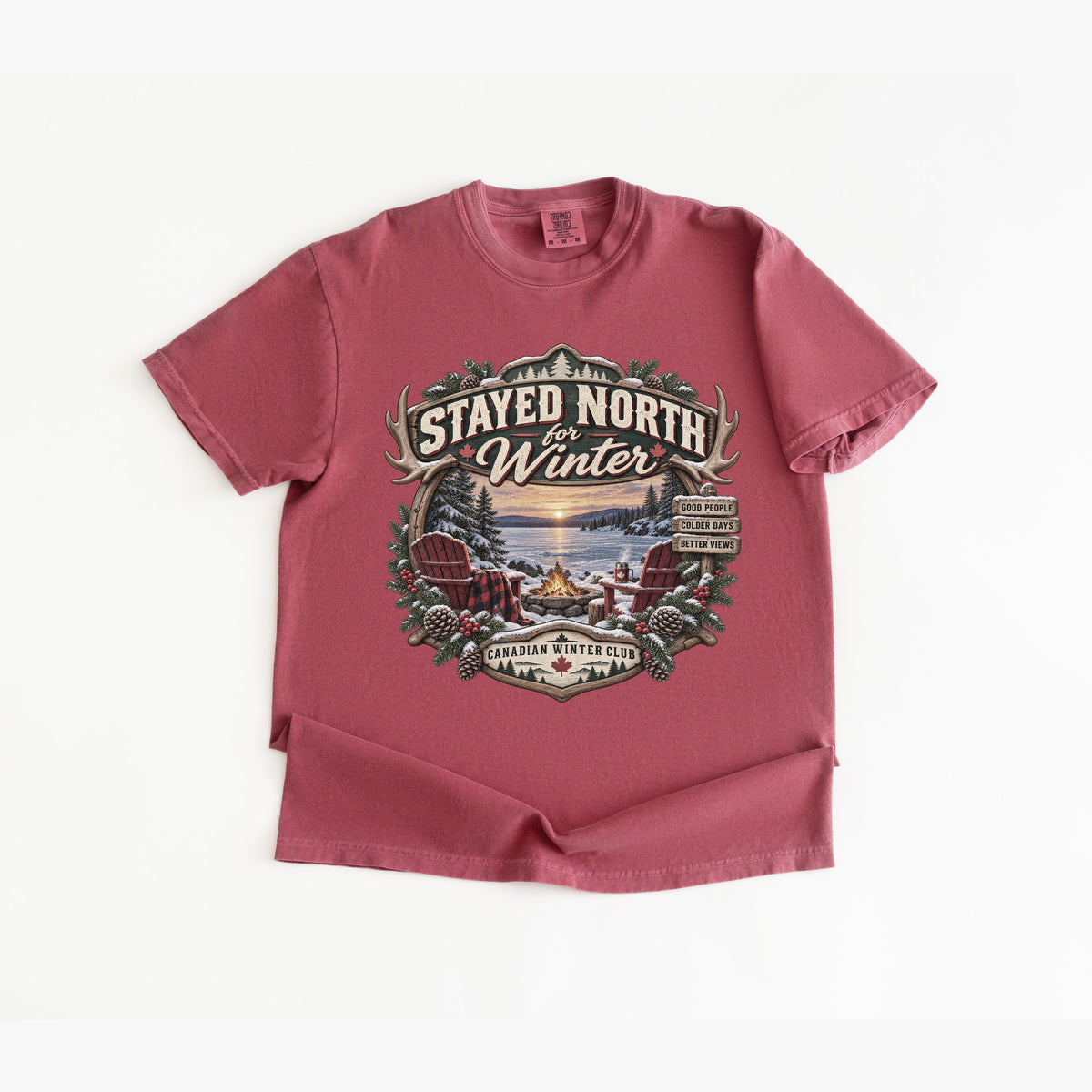Stayed North for Winter T-Shirt