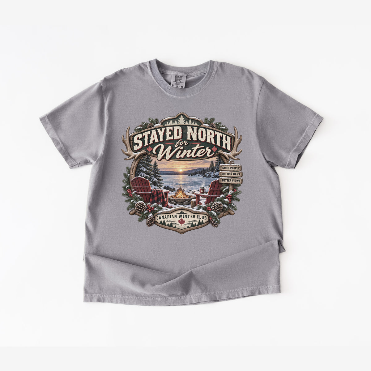 Stayed North for Winter T-Shirt