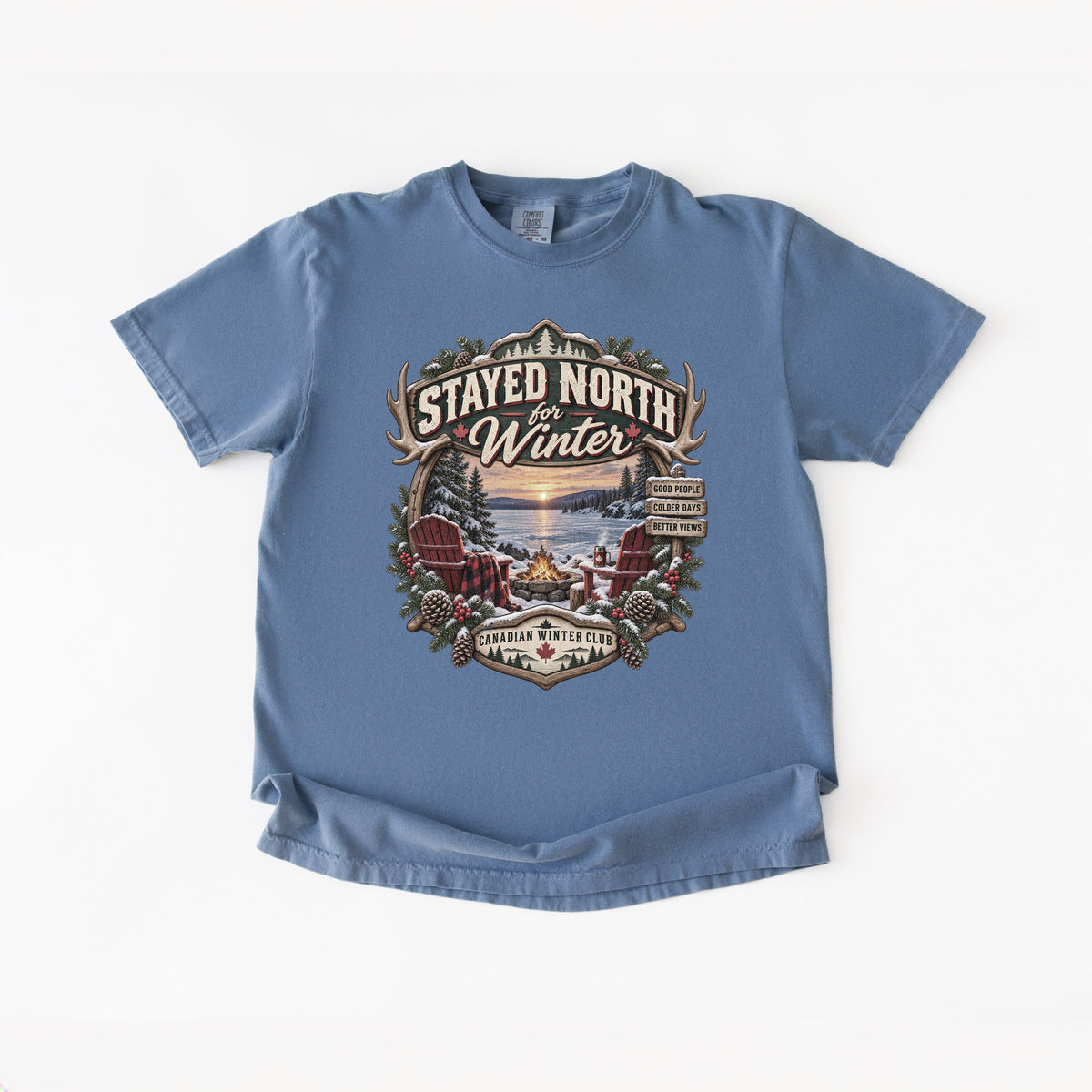 Stayed North for Winter T-Shirt