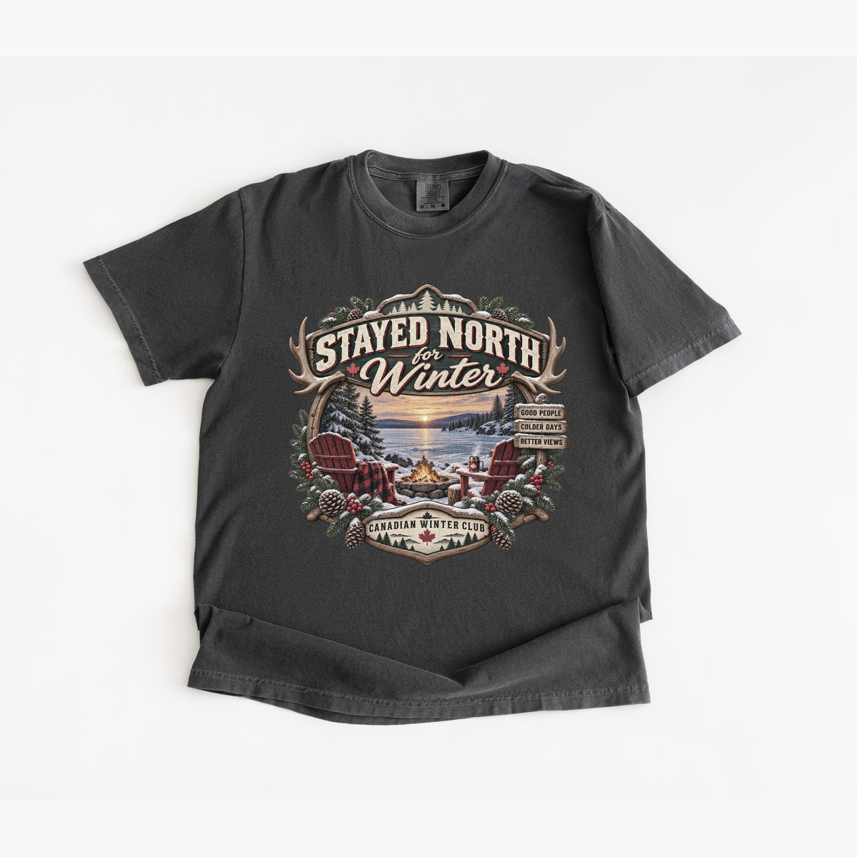 Stayed North for Winter T-Shirt
